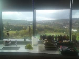 1385660_10151790978014962_1878643209_n