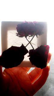 The forever lovers Created Summer 2011 for My Ancient love.